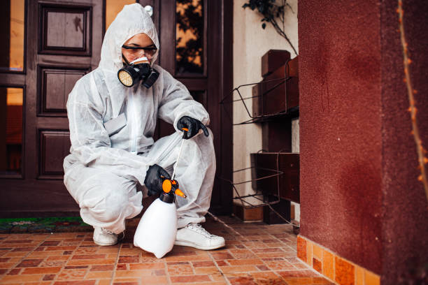 Reliable Ant Control contractor in Hilton Head Island, SC by Show Me Pest Control